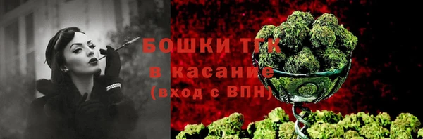 Альфа ПВП Инсар