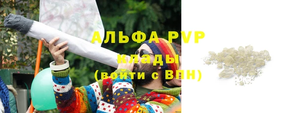 Альфа ПВП Инсар