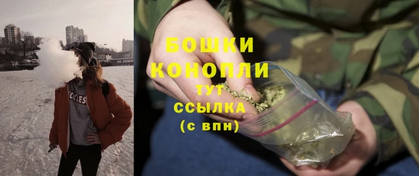 Альфа ПВП Инсар