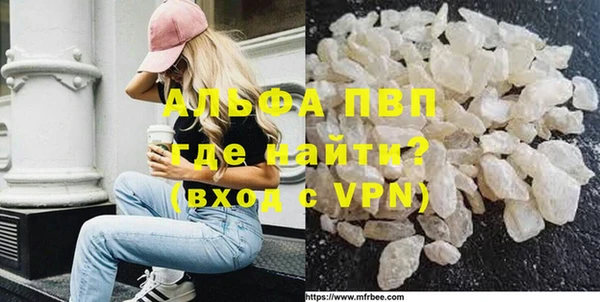 Альфа ПВП Инсар