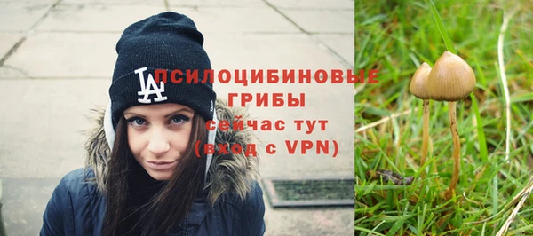 каннабис Инта