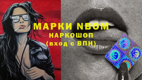 Альфа ПВП Инсар