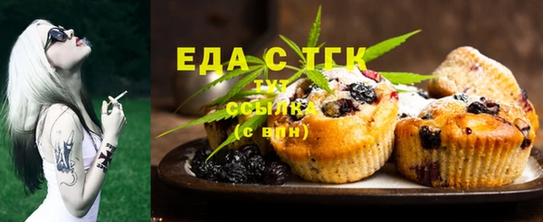 Альфа ПВП Инсар