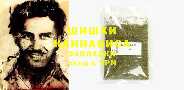 Альфа ПВП Инсар